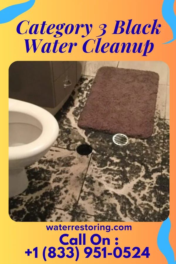 Category 3 Black Water Cleanup in Sunfish Lake, MN