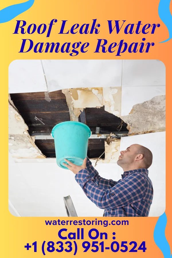 Roof Leak Water Damage Repair in Sunfish Lake, MN