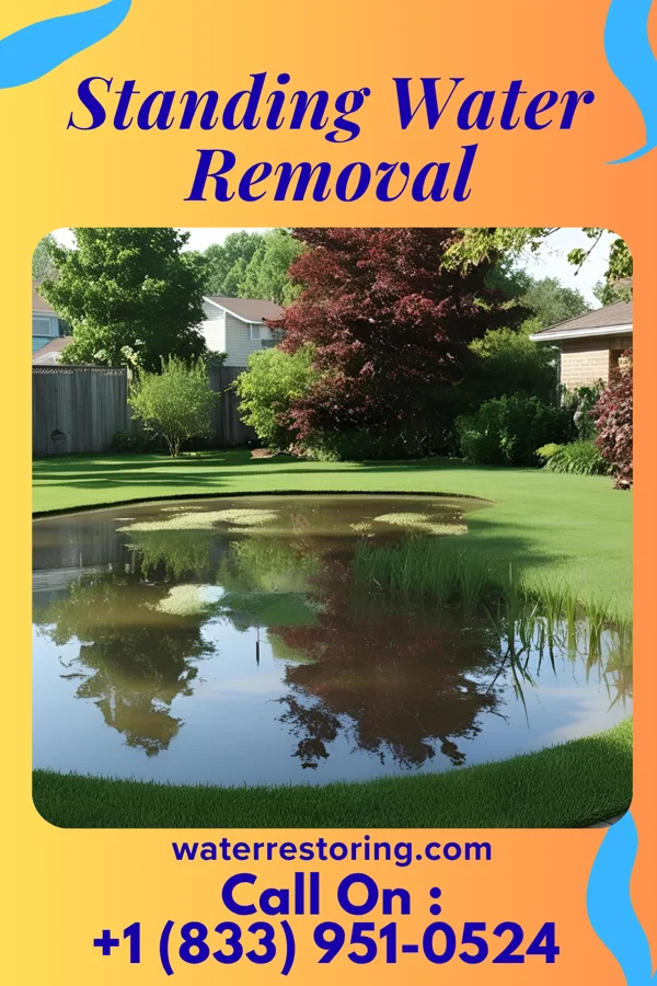 Standing Water Removal in Sunfish Lake, MN